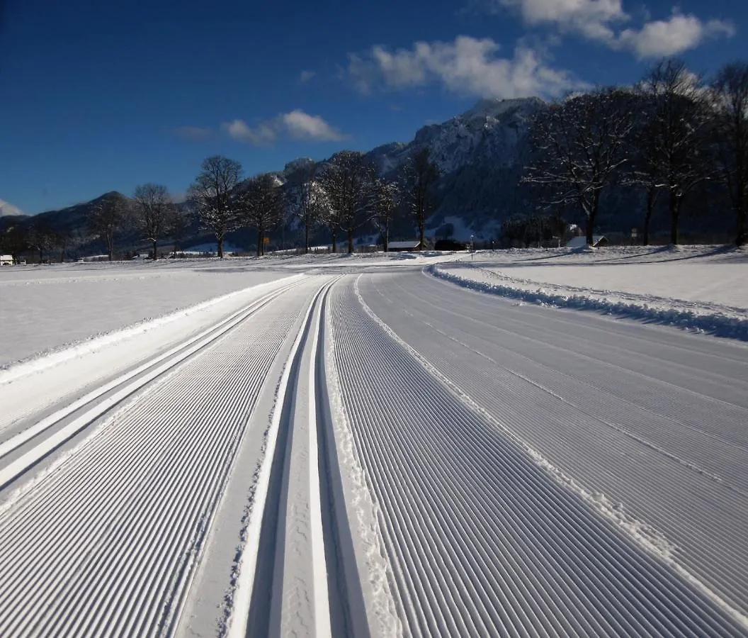 Bed & Breakfast Gaestehaus Wild-Schuetz Schwangau