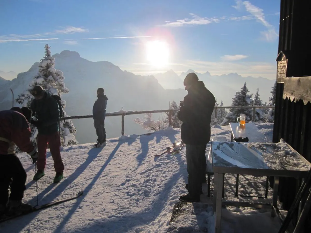 Bed & Breakfast Gaestehaus Wild-Schuetz Schwangau