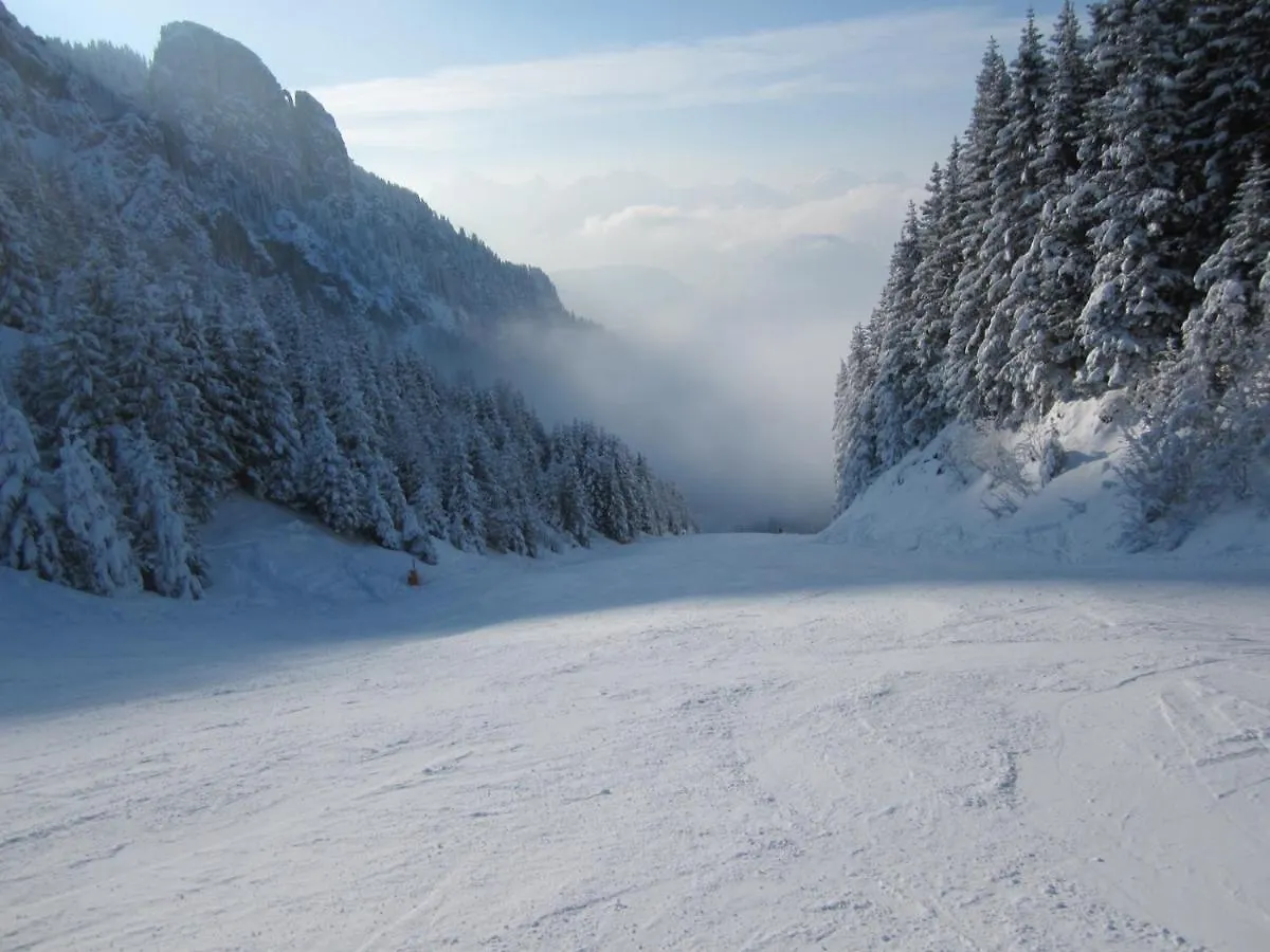 Gaestehaus Wild-Schuetz Schwangau 0*,